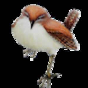 Meet your Posher, Jen